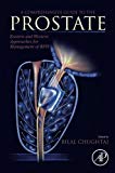 Book A Comprehensive Guide to the Prostate: Eastern and Western Approaches for Management of BPH free