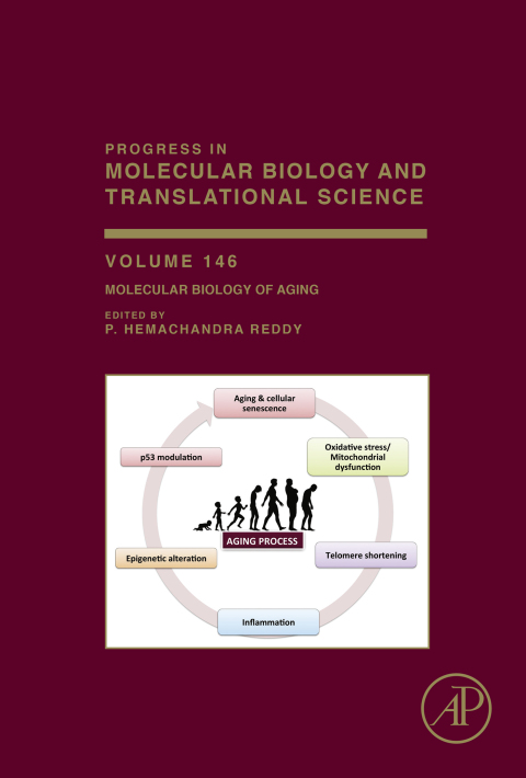 Book Molecular Biology of Aging (ISSN Book 146) free