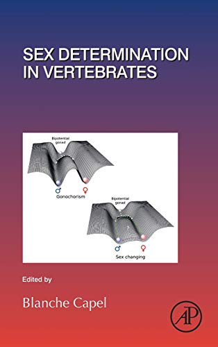 Book Sex Determination in Vertebrates (Volume 134) (Current Topics in Developmental Biology, Volume 134) free