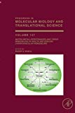 Book Matrix Metalloproteinases and Tissue Remodeling in Health and Disease: Cardiovascular Remodeling (Volume 147) (Progress in Molecular Biology and Translational Science, Volume 147) free