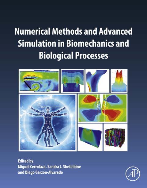 Book Numerical Methods and Advanced Simulation in Biomechanics and Biological Processes free