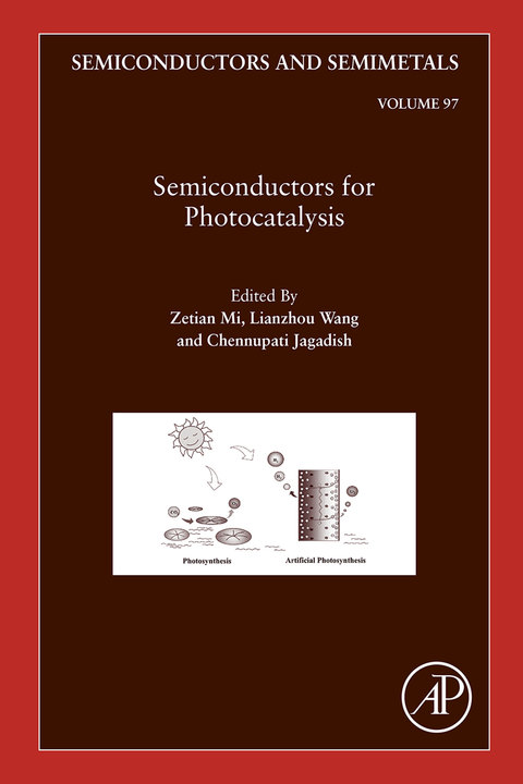 Book Semiconductors for Photocatalysis (ISSN Book 97) free