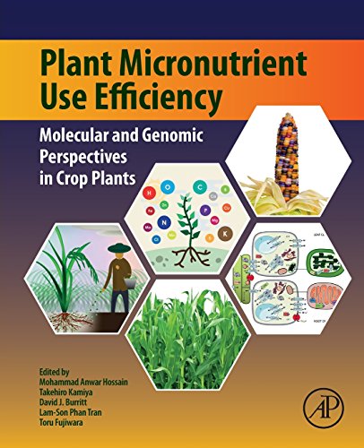 Book Plant Micronutrient Use Efficiency: Molecular and Genomic Perspectives in Crop Plants free
