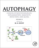 Book Autophagy: Cancer, Other Pathologies, Inflammation, Immunity, Infection, and Aging: Volume 12 free