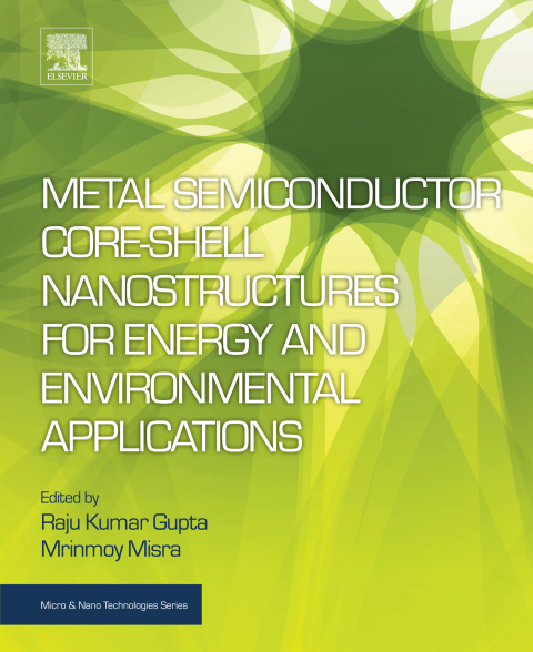 Book Metal Semiconductor Core-shell Nanostructures for Energy and Environmental Applications free