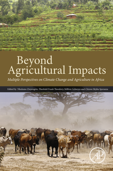 Book Beyond Agricultural Impacts: Multiple Perspectives on Climate Change and Agriculture in Africa free