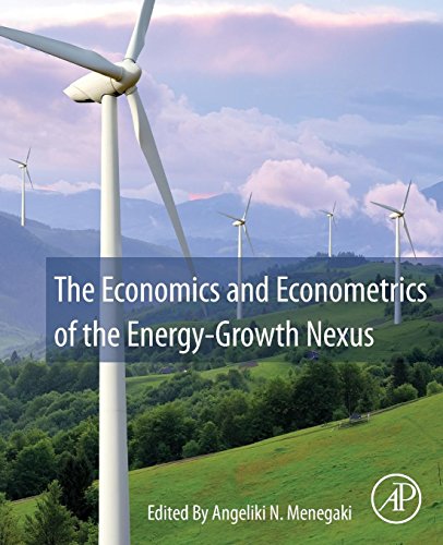 Book The Economics and Econometrics of the Energy-Growth Nexus free