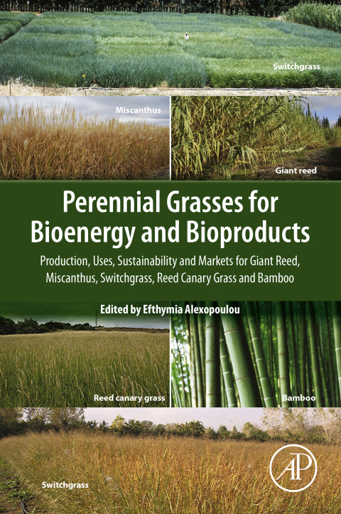 Book Perennial Grasses for Bioenergy and Bioproducts free