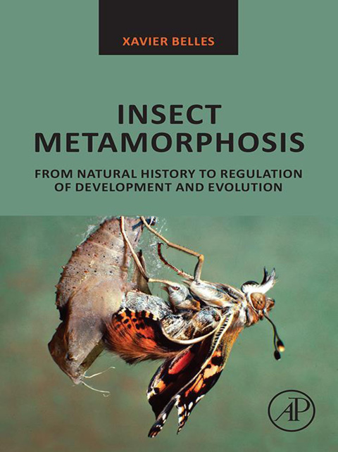 Book Insect Metamorphosis: From Natural History to Regulation of Development and Evolution free