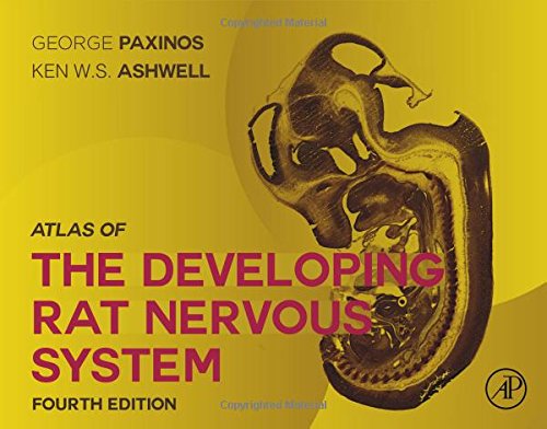 Book Atlas of the Developing Rat Nervous System free