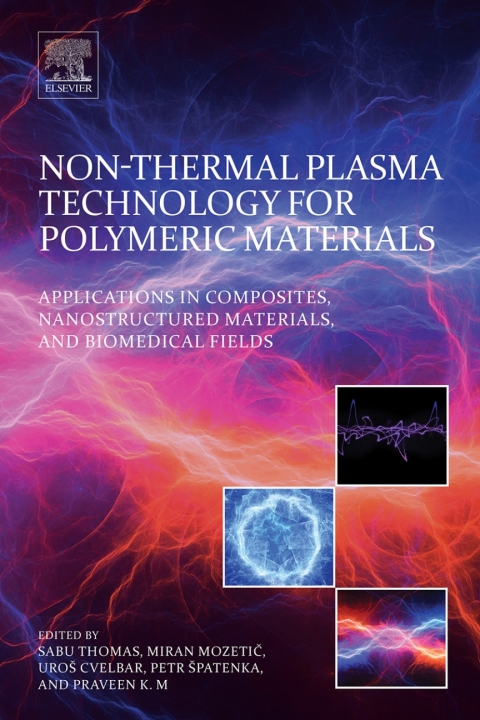 Book Non-Thermal Plasma Technology for Polymeric Materials free