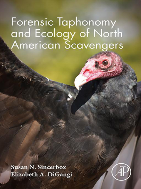 Book Forensic Taphonomy and Ecology of North American Scavengers free
