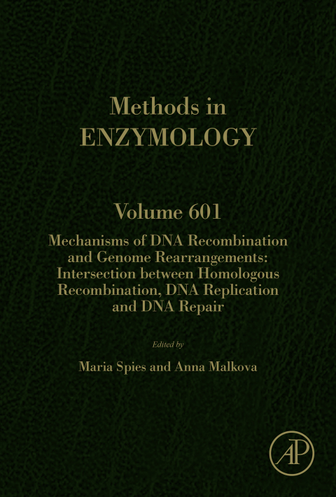 Book Mechanisms of DNA Recombination and Genome Rearrangements: Intersection Between Homologous Recombination, DNA Replication and DNA Repair (ISSN Book 601) free