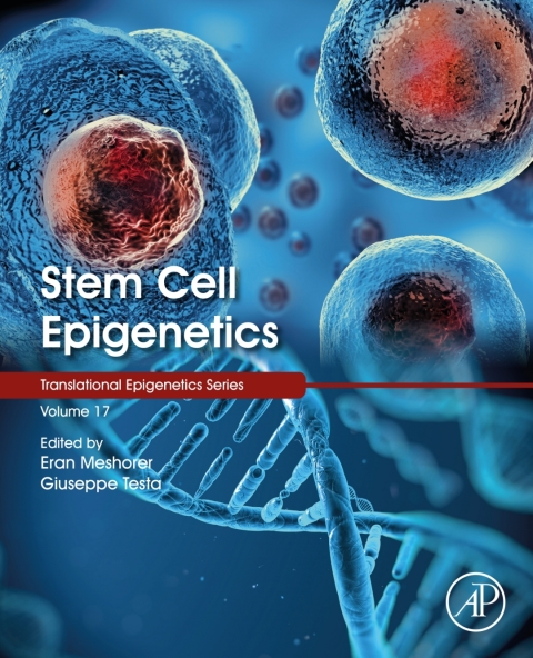Book Stem Cell Epigenetics (Translational Epigenetics Book 17) free