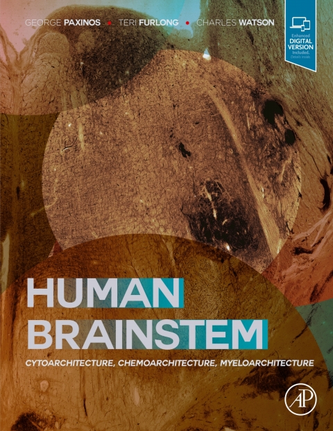 Book Human Brainstem free