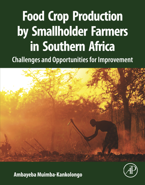 Book Food Crop Production by Smallholder Farmers in Southern Africa free
