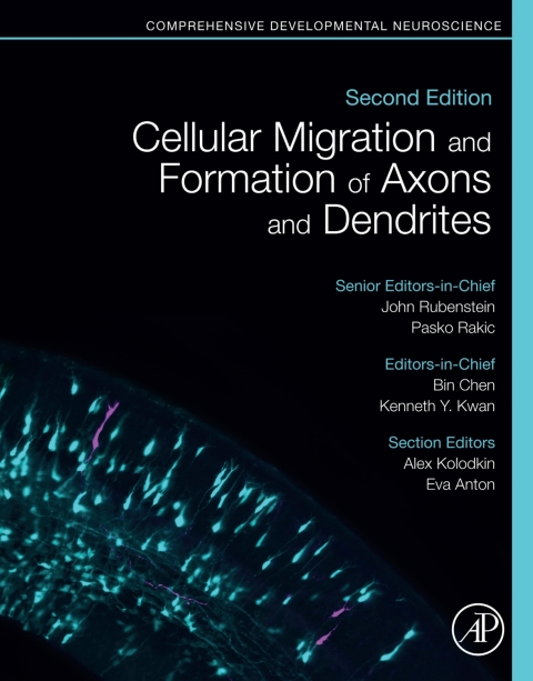 Book Cellular Migration and Formation of Axons and Dendrites free