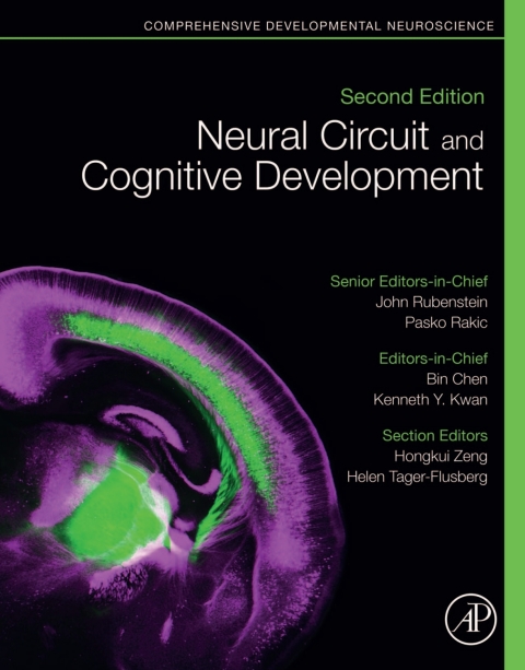 Book Neural Circuit and Cognitive Development free