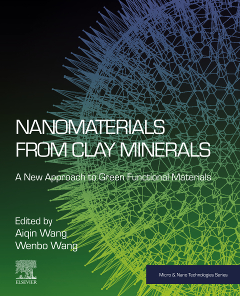 Book Nanomaterials from Clay Minerals free