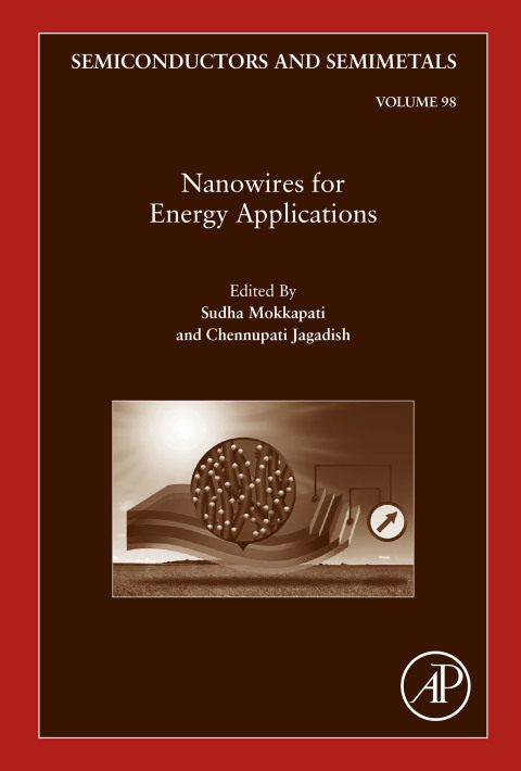 Book Nanowires for Energy Applications free