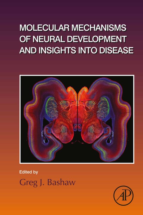 Book Molecular Mechanisms of Neural Development and Insights into Disease free