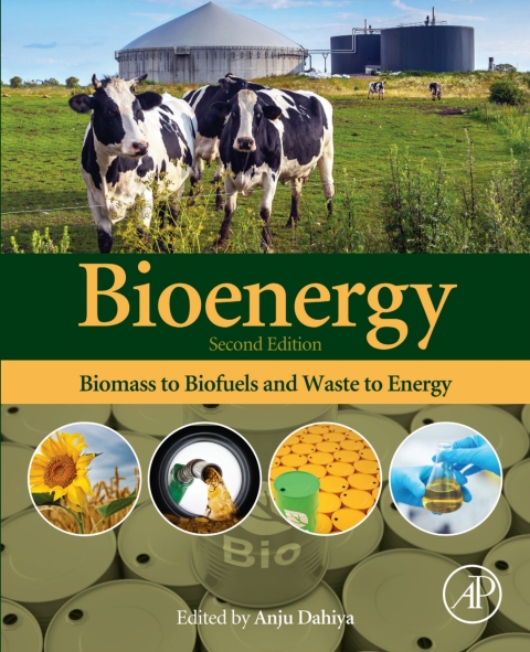 Book Bioenergy: Biomass to Biofuels and Waste to Energy free