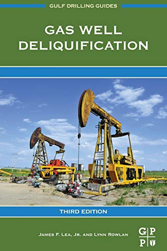 Book Gas Well Deliquification (Gulf Drilling Guides) free