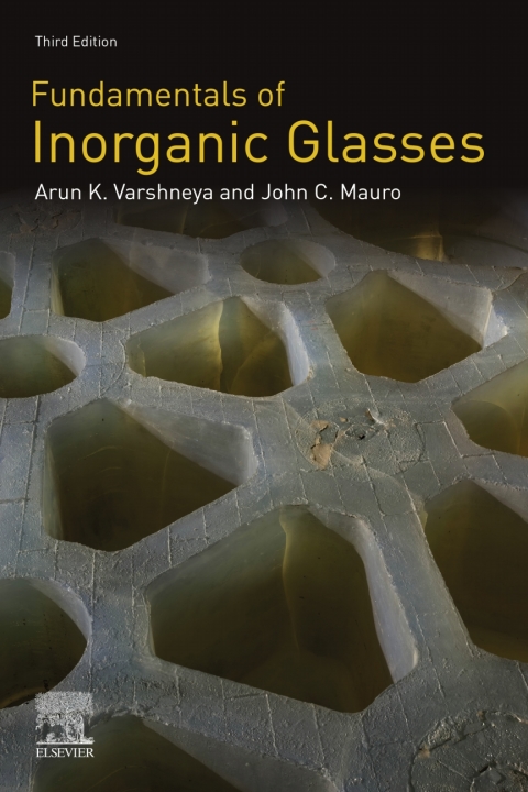 Book Fundamentals of Inorganic Glasses free