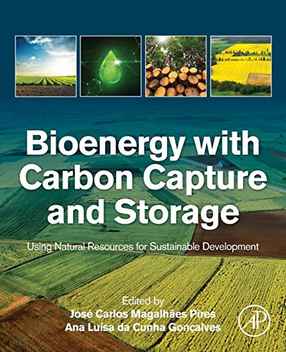 Book Bioenergy with Carbon Capture and Storage: Using Natural Resources for Sustainable Development free