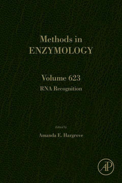 Book RNA Recognition free