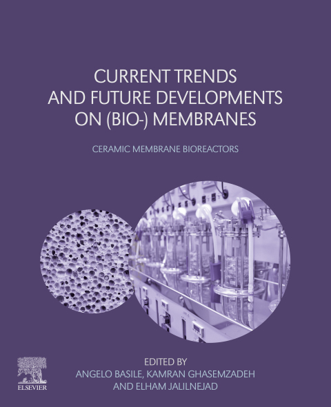 Book Current Trends and Future Developments on (Bio-) Membranes: Ceramic Membrane Bioreactors free