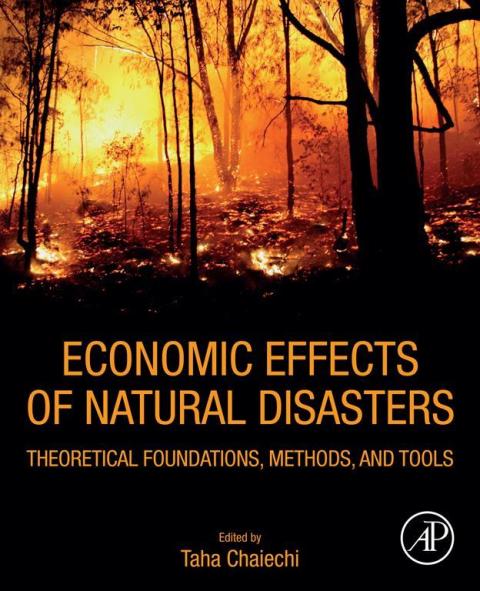 Book Economic Effects of Natural Disasters free