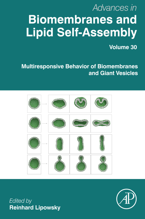 Book Multiresponsive Behavior of Biomembranes and Giant Vesicles free