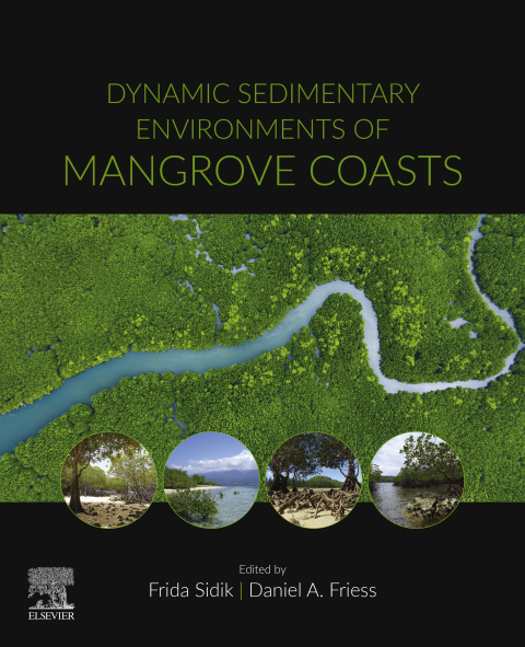 Book Dynamic Sedimentary Environments of Mangrove Coasts free