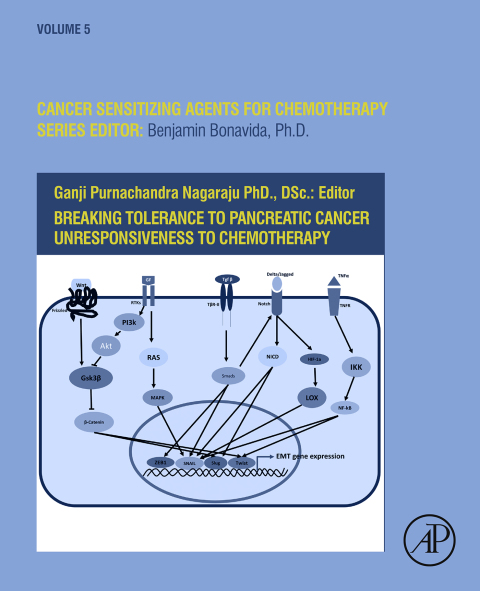 Book Breaking Tolerance to Pancreatic Cancer Unresponsiveness to Chemotherapy (ISSN Book 5) free
