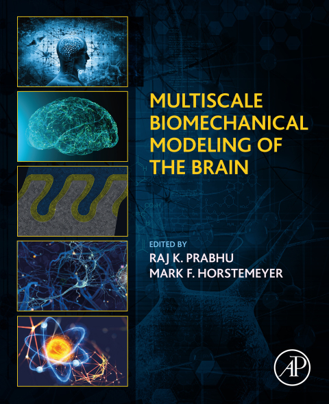 Book Multiscale Biomechanical Modeling of the Brain free