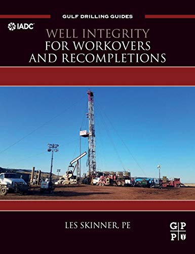 Book Well Integrity for Workovers and Recompletions (Gulf Drilling Guides) free