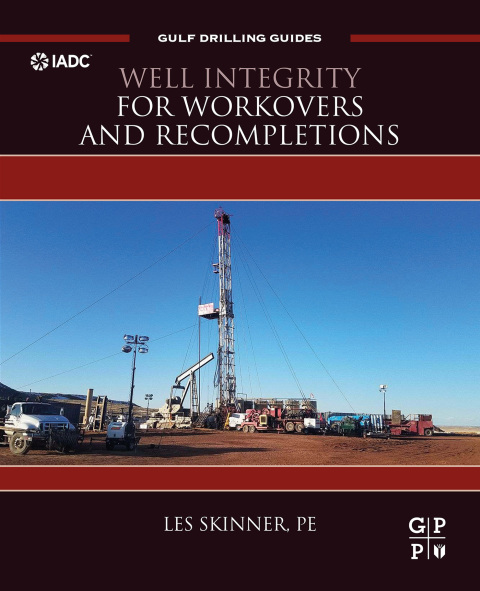 Book Well Integrity for Workovers and Recompletions free