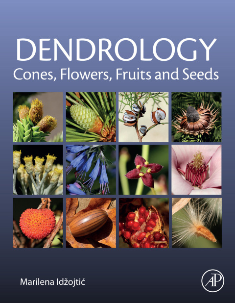 Book Dendrology: Cones, Flowers, Fruits and Seeds free