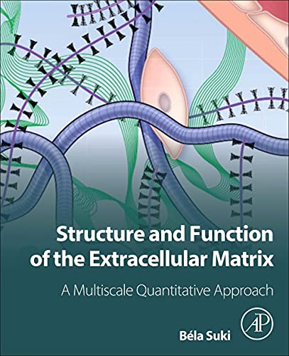 Book Structure and Function of the Extracellular Matrix: A Multiscale Quantitative Approach free