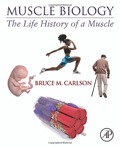 Book Muscle Biology: The Life History of a Muscle free