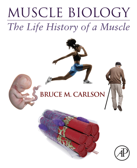 Book Muscle Biology free