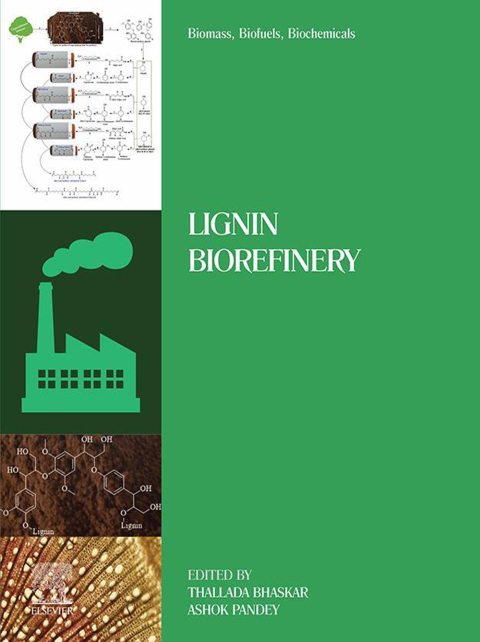 Book Biomass, Biofuels, Biochemicals: Lignin Biorefinery free