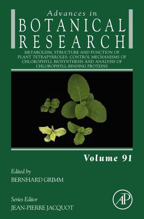 Book Metabolism, Structure and Function of Plant Tetrapyrroles: Control Mechanisms of Chlorophyll Biosynthesis and Analysis of Chlorophyll-Binding Proteins (ISSN Book 91) free