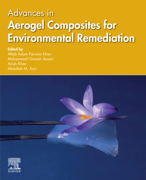 Book Advances in Aerogel Composites for Environmental Remediation free