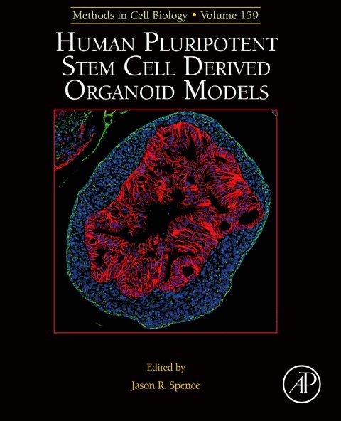 Book Human Pluripotent Stem Cell Derived Organoid Models free