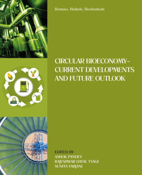 Book Biomass, Biofuels, Biochemicals free