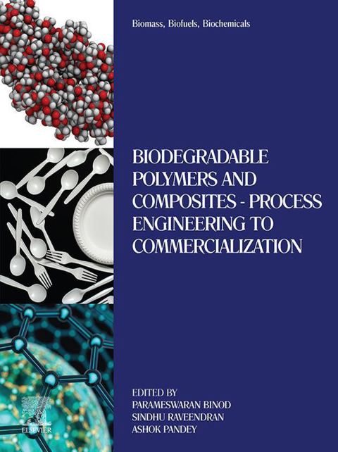 Book Biomass, Biofuels, Biochemicals free