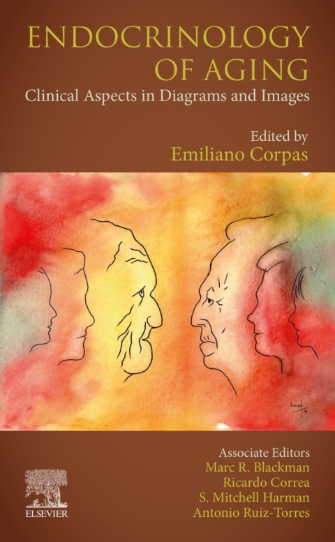 Book Endocrinology of Aging: Clinical Aspects in Diagrams and Images free