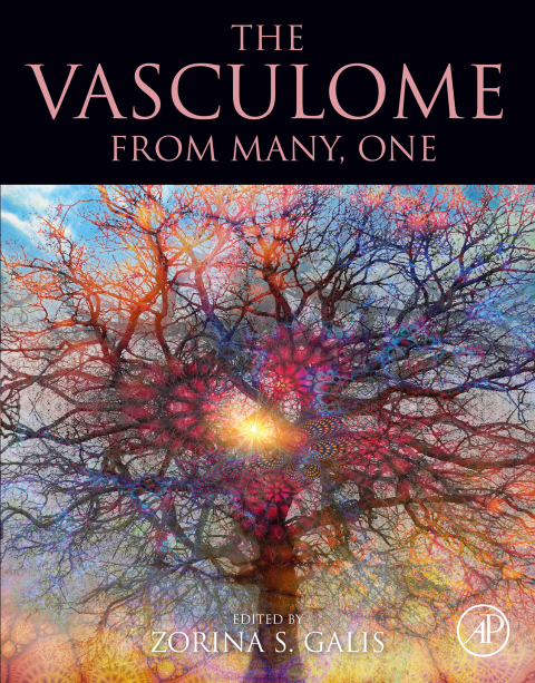 Book The Vasculome free